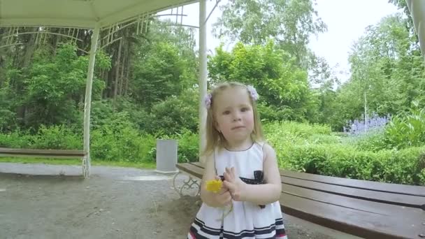 Meisje dansend op de natuur — Stockvideo