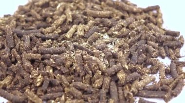 Ivan-tea mayalanmış.