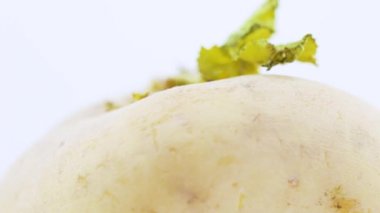 Şalgam ile yaprak yeşil