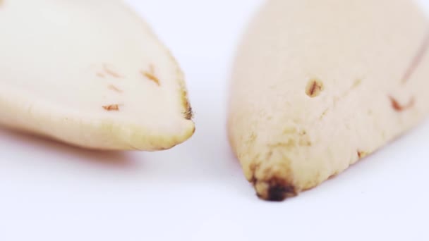 Gereinigtes Gehörknöchelchen von Avocado — Stockvideo