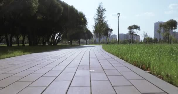 Allée dans le parc de la ville — Video