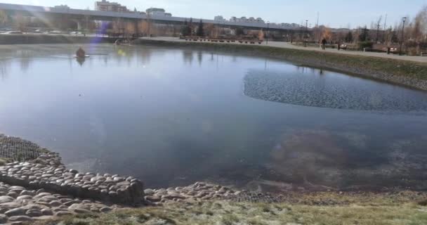 Cascade pond di taman — Stok Video