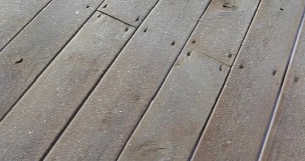 Frost sur des planches en bois — Video