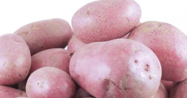 Patates kırmızı toplu