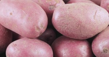 Patates kırmızı toplu tablo