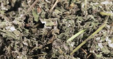 Ahududu toplu olarak kuru