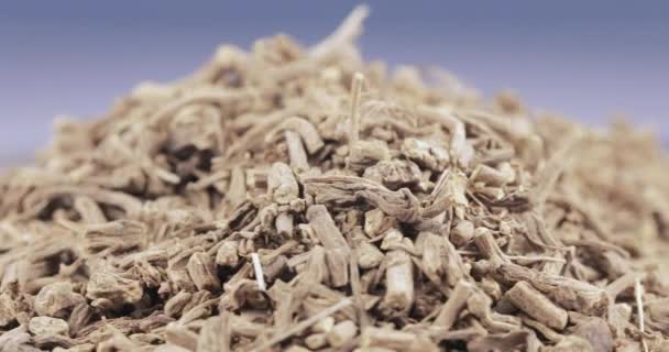 Bulk Dried Apothecary Valerian Gray — Stock Video