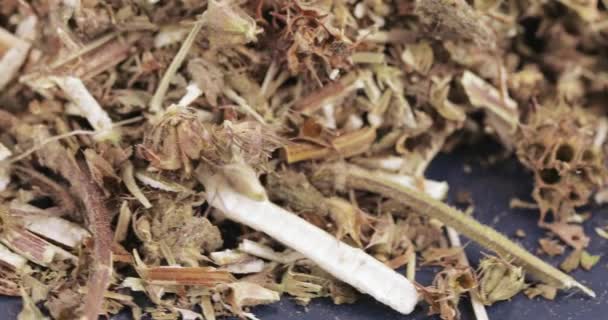 Erba motherwort alla rinfusa — Video Stock