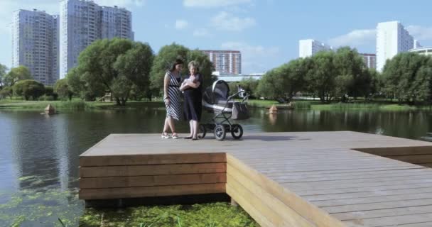 Mom with daughter on pond — Stock Video