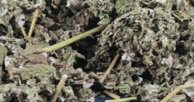 Ahududu toplu olarak kuru