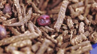 Ivan-Çay üzümü ile