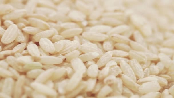 Коричневый рис — стоковое видео