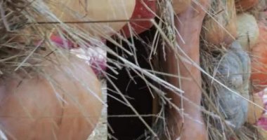 Dekoratif sokak sonbahar Gastronomi Festivali 