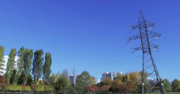 Línea eléctrica en el parque — Vídeo de stock