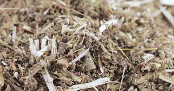 Herbe de Motherwort en vrac 