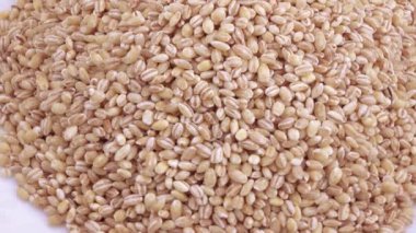 Pearl arpa zararlıları ile