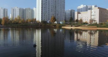 Parktaki göldeki ördekler