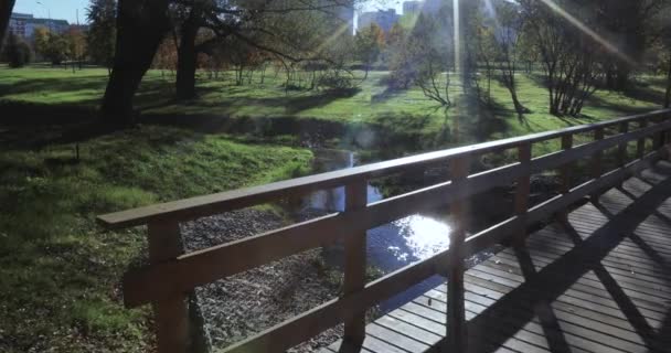 Holzbrücke über den Bach — Stockvideo