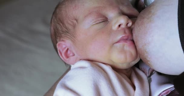아름 다운 여자는 아기를 먹이 — 비디오