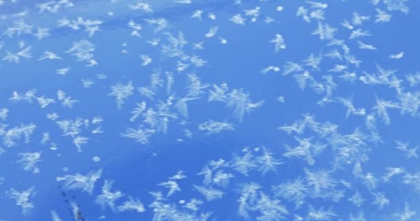 Мороз на голубой поверхности — стоковое видео