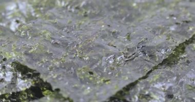 Deniz lahana kuru yaprak