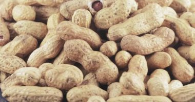 Kabuk kavrulmuş fıstık