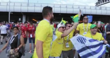 Fransa futbol hayranları