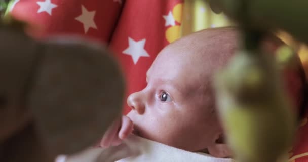 Babyjongen in een rockende wieg — Stockvideo