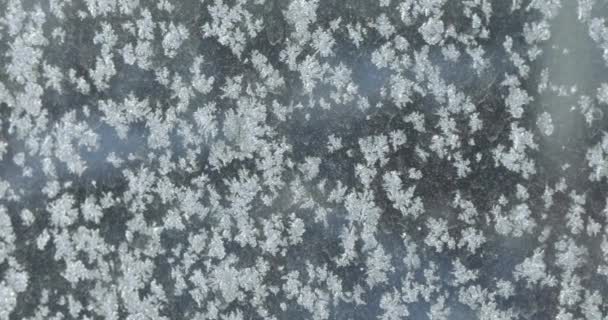 Flocons de neige sur le verre — Video