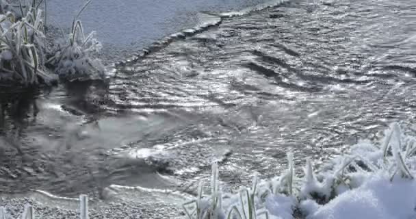 Arroyo congelante en el hielo — Vídeos de Stock