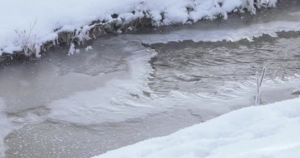 Frysa creek i isen — Stockvideo