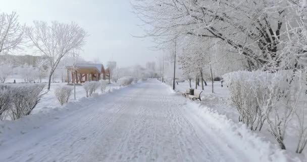 Parque da cidade coberto de neve — Vídeo de Stock