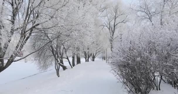 Parque urbano cubierto de nieve — Vídeos de Stock
