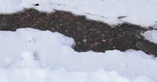 Arroyo congelante en el hielo — Vídeo de stock