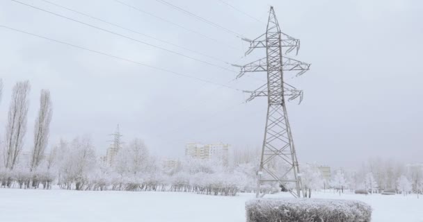 Power line masten in de winter — Stockvideo
