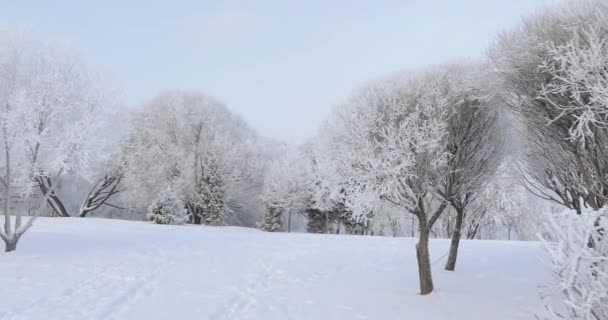 Parque urbano cubierto de nieve — Vídeos de Stock