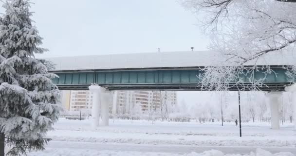 Вагоны метрополитена зимой — стоковое видео