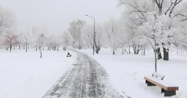 Дерев'яні лавки на снігу — стокове відео