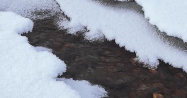 Arroyo congelante en el hielo — Vídeos de Stock