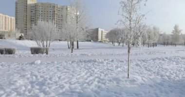 karla kaplı Şehir Parkı