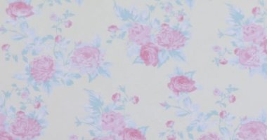 Koleksiyon defteri için arkaplan