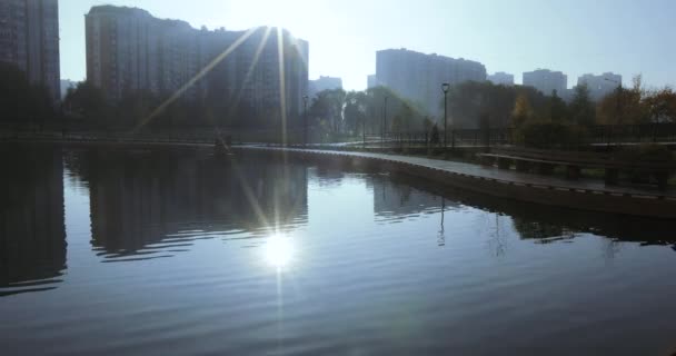 Teich im Stadtpark — Stockvideo