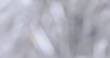 Bokeh yeni yıl yağmur ve tinsel