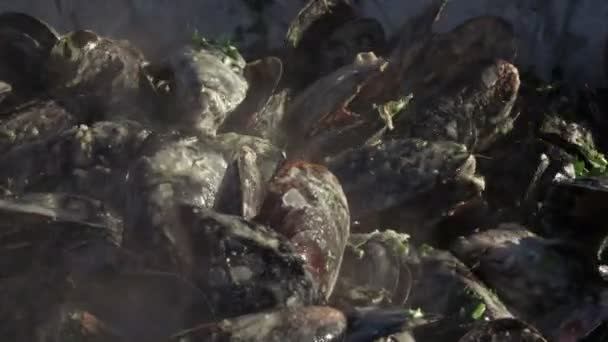 Muscheln in der Natur kochen — Stockvideo