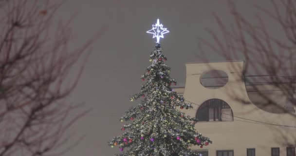 Die Spitze der Weihnachtsfichte — Stockvideo