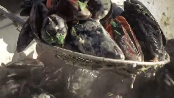 Matlagning musslor i naturen — Stockvideo