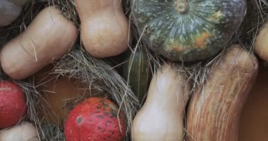 Dekoratif sokak sonbahar Gastronomi Festivali 