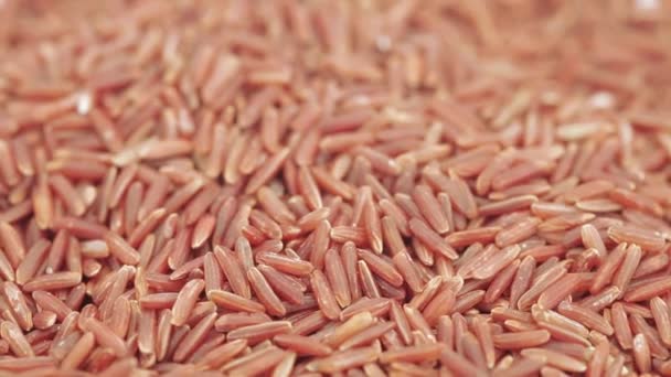 Rode rijst van de Kernel in bulk — Stockvideo