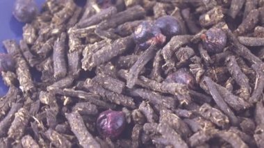 Ivan-Çay üzümü ile