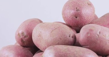 Patates kırmızı toplu tablo
